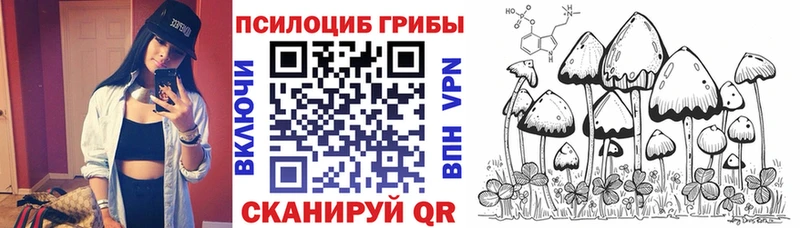 omg рабочий сайт Называевск Галлюциногенные грибы Psilocybe